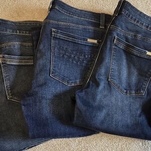 WHBM Denim Collection